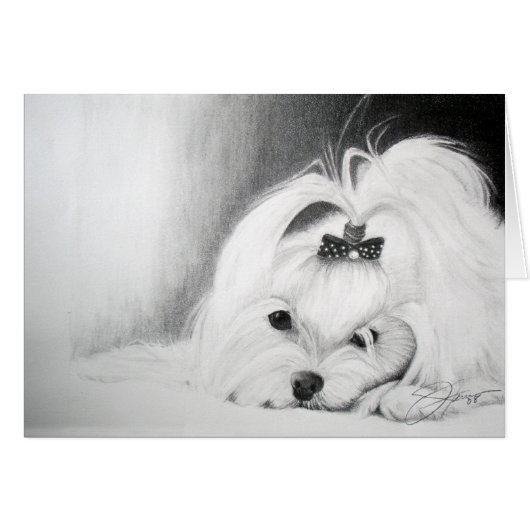 My Maltese Cards (Front Horizontal)