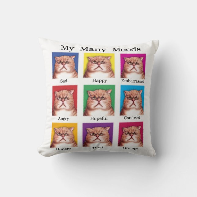 My Many Moods pillow (Front)
