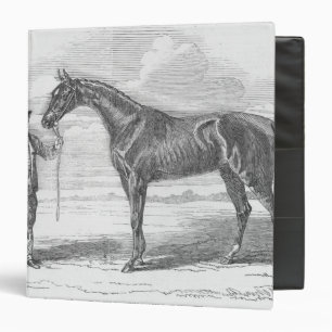 My Mary', winner of the Yorkshire Handicap 3 Ring Binder