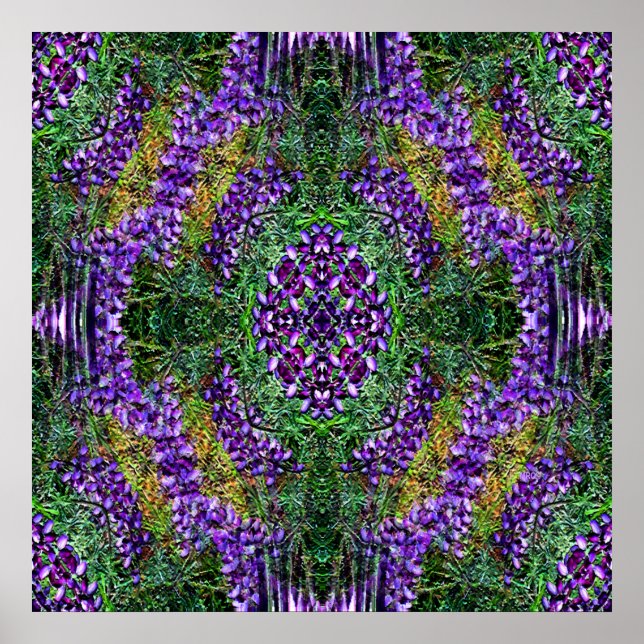 My Medicine Wheel... Poster (Front)