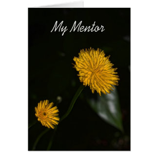 My Mentor Cards