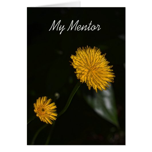 My Mentor Cards (Front)