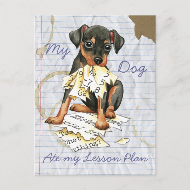 My dog ate my homework poem questions and answers image