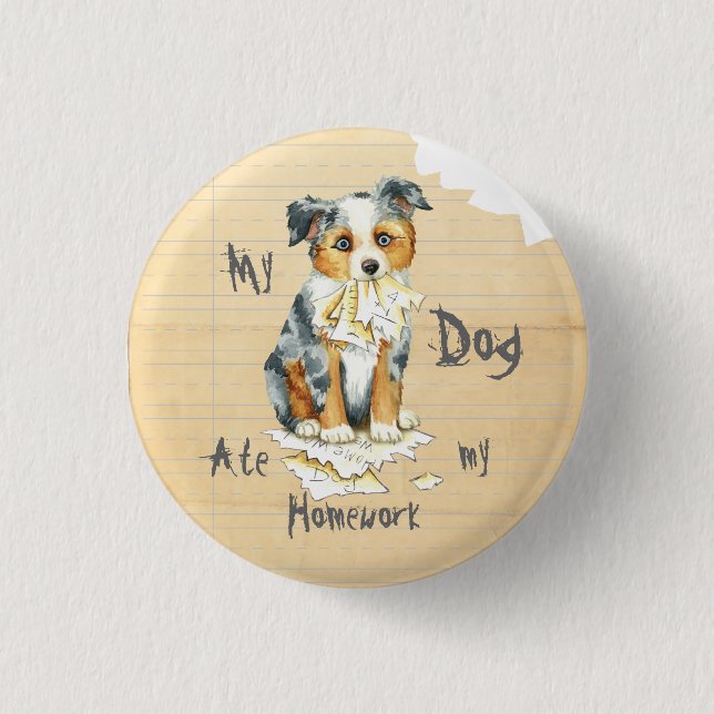 My Mini American Shepherd Ate My Homework Pinback Button (Front)