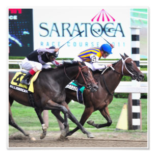 My Miss Aurelia- The Adirondack Photo Print