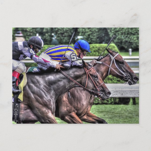 My Miss Aurelia "The Adirondack" Postcard (Front)