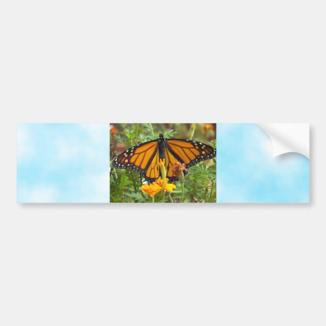 My Monarch Butterfly-bumper sticker (Front)