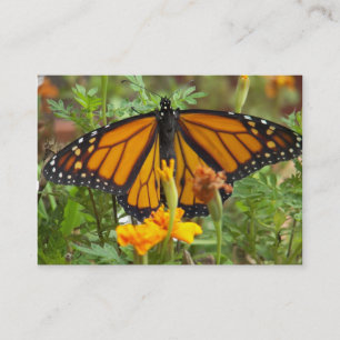 My Monarch Butterfly-business cards