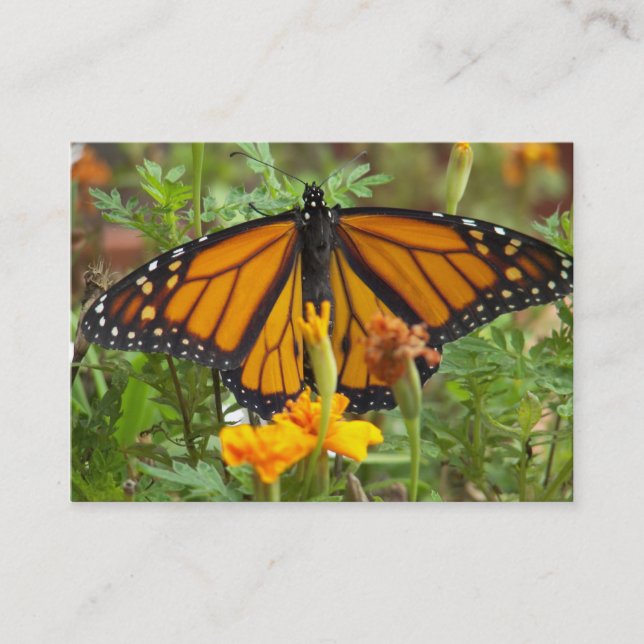 My Monarch Butterfly-business cards (Front)