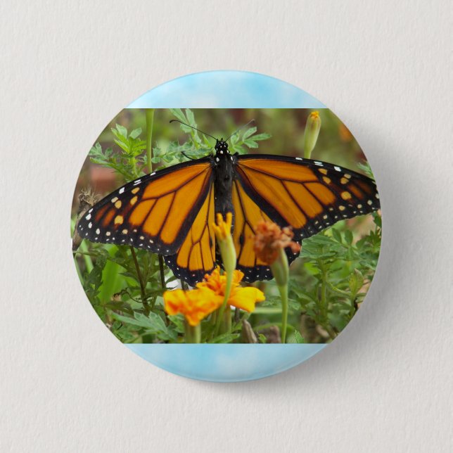 My Monarch Butterfly-button Pinback Button (Front)