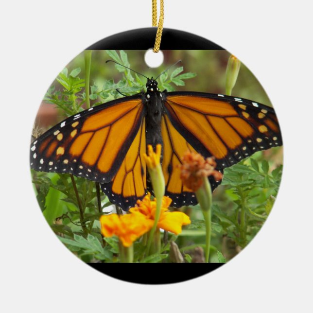 My Monarch Butterfly-circle ornament (Front)