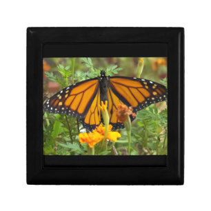 My Monarch Butterfly-gift box