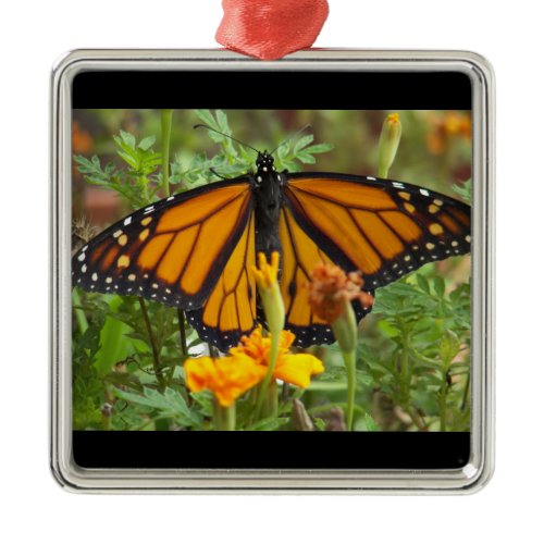 My Monarch Butterfly-premium square ornament