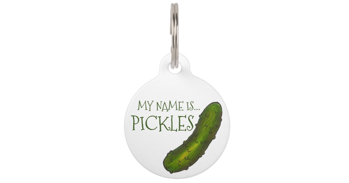 My Name is Pickles Green Sour Dill Pickle Cat Dog Pet Tag Zazzle
