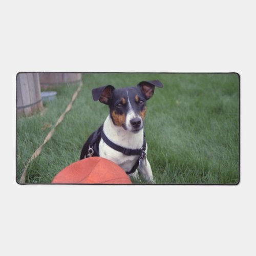 My Name is Scoop Jack Russell Terrier by Janz Desk Mat