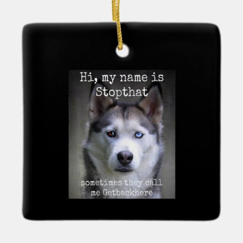 My Name Is Stop that Funny Hyper Siberian Husky Ceramic Ornament
