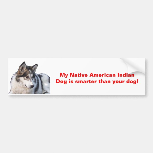 My Native American Indian Dog is smarter Bumper Sticker (Front)