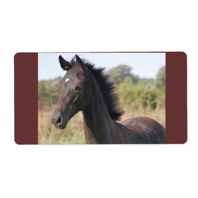 My New Pony Label (Front)