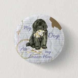 My Newfoundland Ate my Lesson Plan Pinback Button