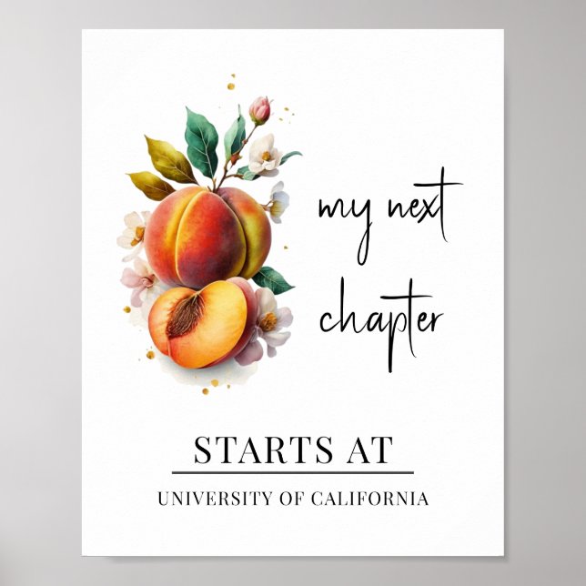 My Next Chapter Watercolor Peach Graduation  Poster (Front)