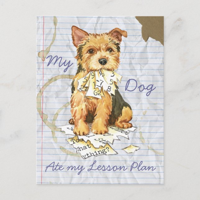 My Norwich Terrier Ate my Lesson Plan Postcard (Front)