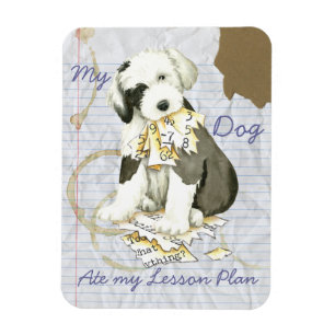 My Old English Sheepdog Ate my Lesson Plan Magnet