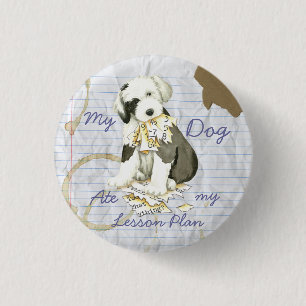 My Old English Sheepdog Ate my Lesson Plan Pinback Button