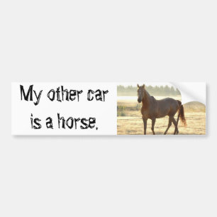 My other car bumper sticker