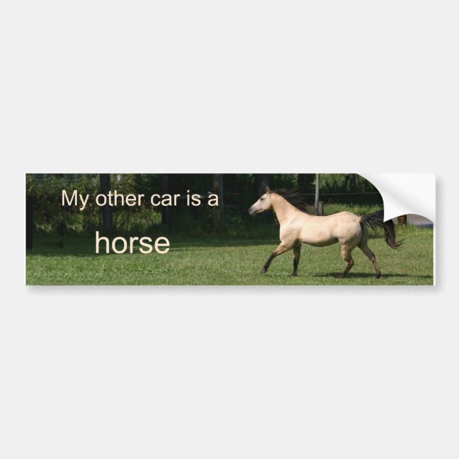 My other car is a horse bumper sticker (Front)