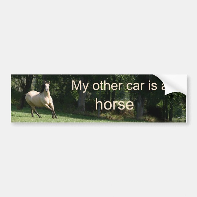 My other car is a horse bumper sticker (Front)