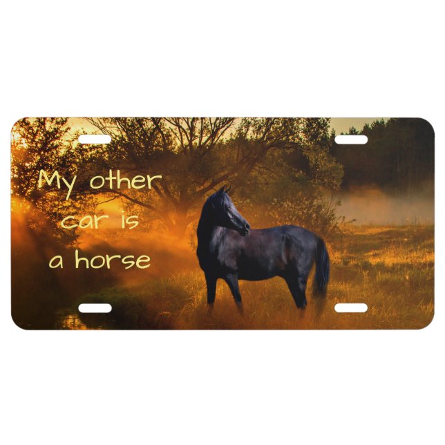 My other car is a horse license plate (Front)