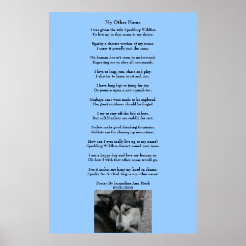 My Other Name Poetry Poster