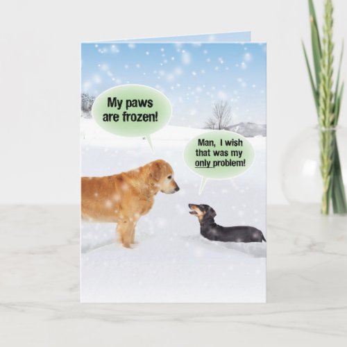 My Paws Are Frozen Christmas Holiday Card