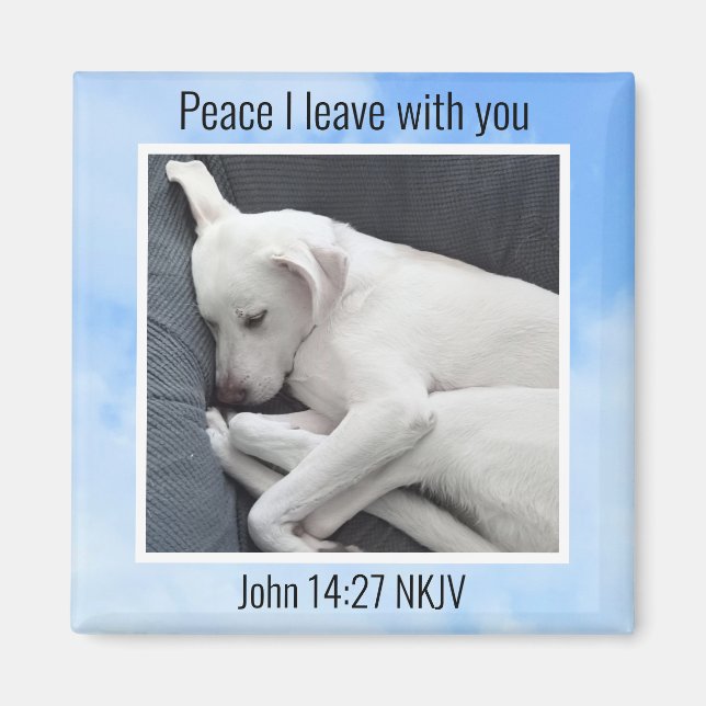 My Peace I Give You Bible Verse Dog in Blue Sky Magnet (Front)