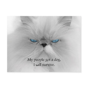 My People Got a Dog. I Will Survive. Postcard