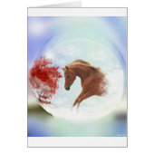 My perfect dream (Front)