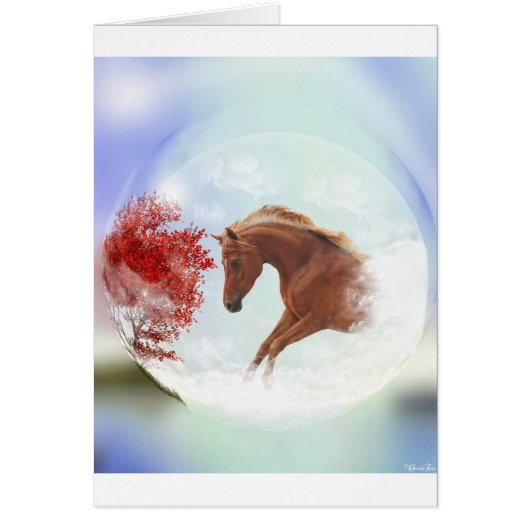 My perfect dream (Front)