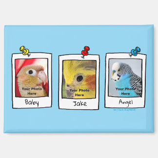 My Pet Birds Retro Custom Photo Collage Magnet