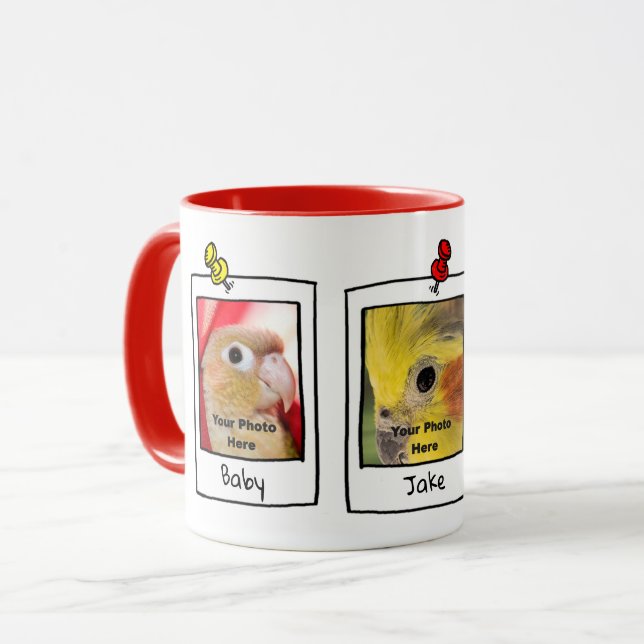 My Pet Birds Retro Custom Photo Collage Mug (Front Left)
