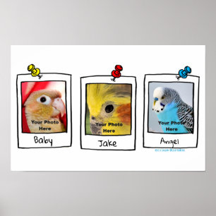 My Pet Birds Retro Custom Photo Collage Poster