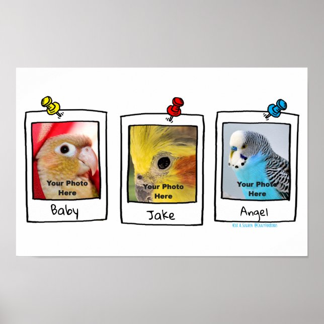 My Pet Birds Retro Custom Photo Collage  Poster (Front)