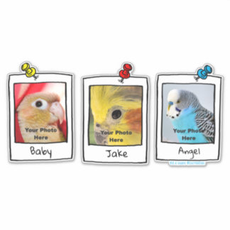 My Pet Birds Retro Custom Photo Collage Sticker