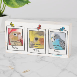 My Pet Birds Retro Custom Photo Collage Wooden Box Sign