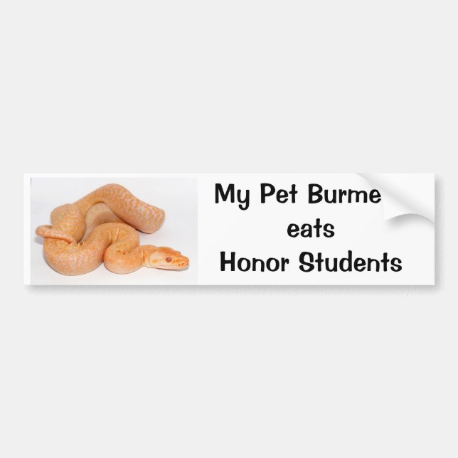 My Pet Burmese Eats Honor Students Bumper Sticker (Front)