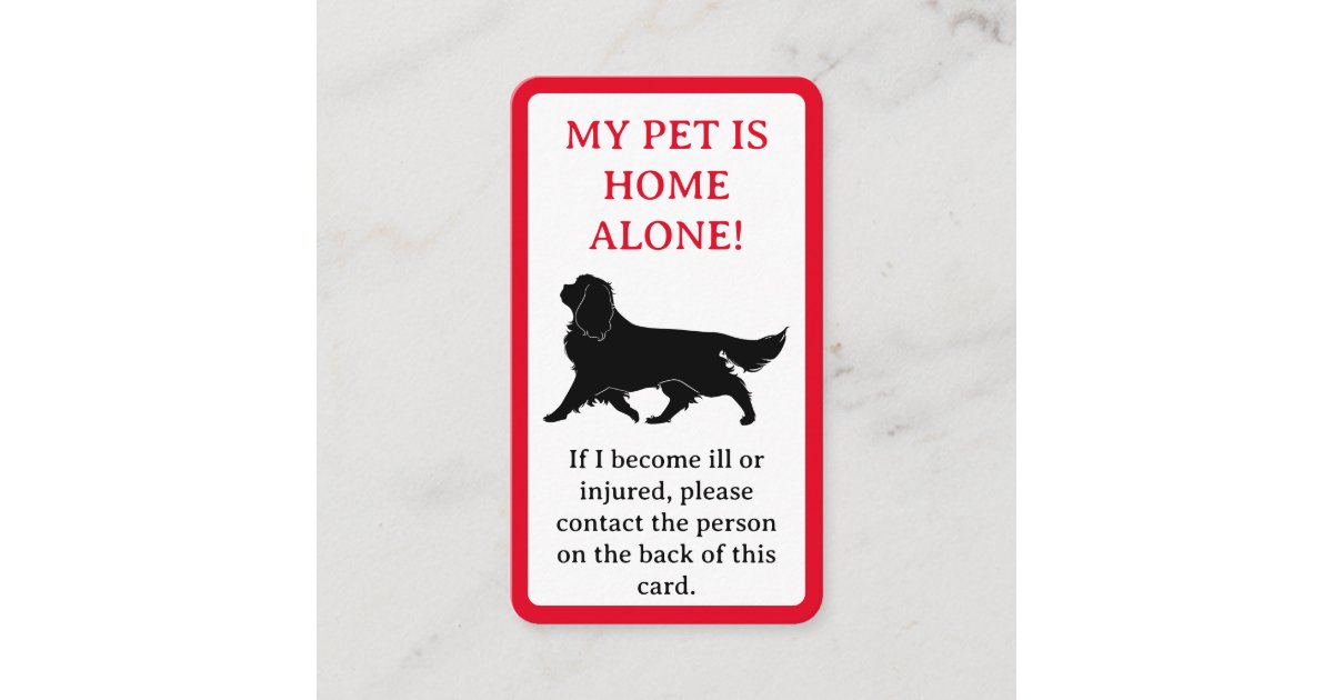 My Pet, Dog is Home Alone Card