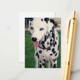 My Pet Friend Custom Photo Enclosure Card