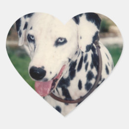 My Pet Friend Custom Photo Heart Sticker