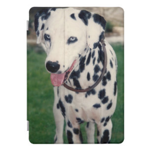 My Pet Friend Custom Photo iPad Pro Cover