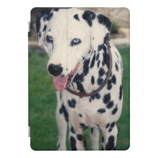 My Pet Friend Custom Photo iPad Pro Cover (Front)