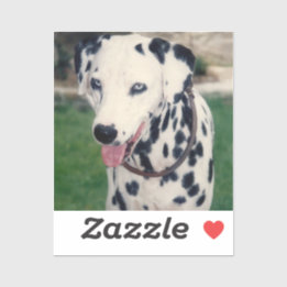 My Pet Friend Custom Photo Sticker